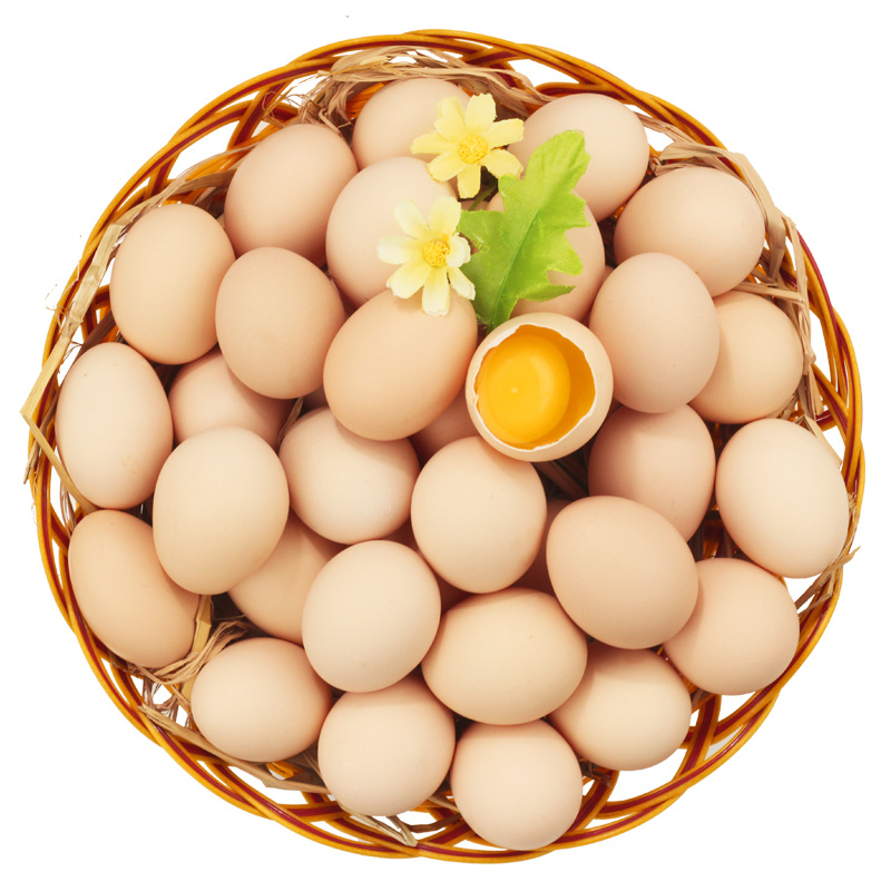 鸡苗